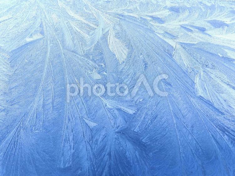 冬の朝の氷によるデザイン 冬,朝,氷の写真素材