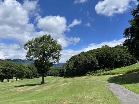 大木のあるゴルフコース風景 大木のあるゴルフコース風景 ゴルフ場,ゴルフコース,フェアウェイの写真素材