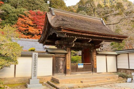 室生寺 室生寺,女人高野,もみじの写真素材