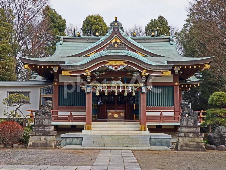 上赤塚氷川神社（板橋） 上赤塚氷川神社,素戔嗚命,藤原広継命の写真素材