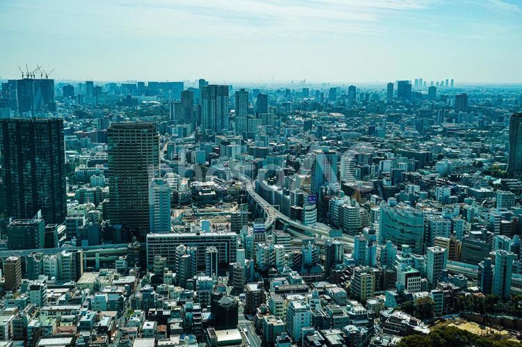 東京・港区の都市風景 東京,港区,高層ビルの写真素材