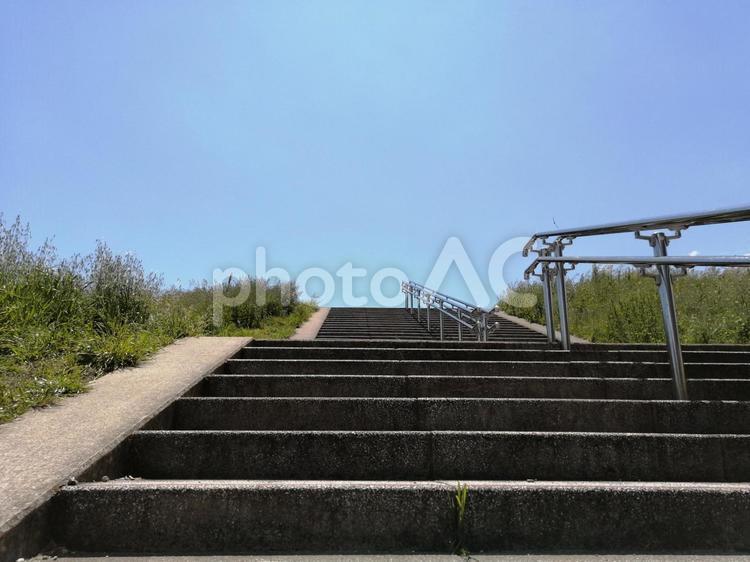 土手の階段　初夏 空,自然,風景の写真素材