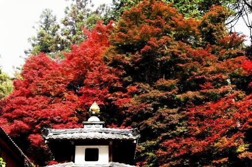 山科聖天双林院 山科聖天双林院の写真