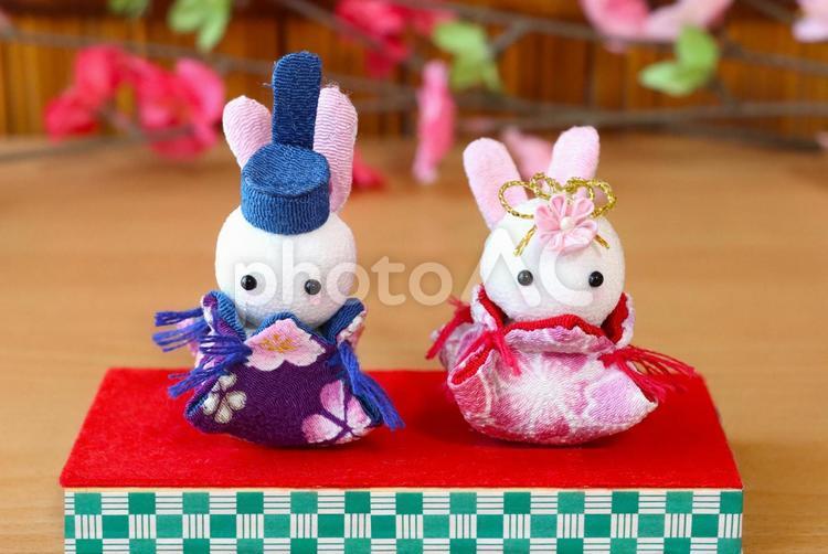 ちりめん細工のかわいいうさぎのお雛様 春,ひな祭り,お雛様の写真素材