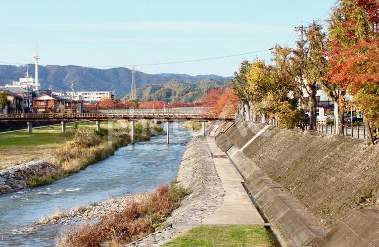 岐阜県の高山市の宮川と秋の紅葉 秋,紅葉,岐阜県の写真素材