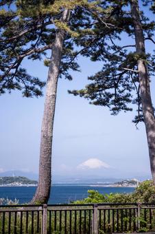 富士山 富士山 富士山,風景,青空の写真素材