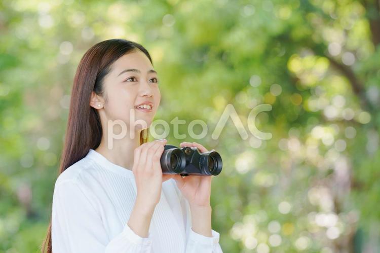 双眼鏡を持っている女性 女性,新緑,春の写真素材
