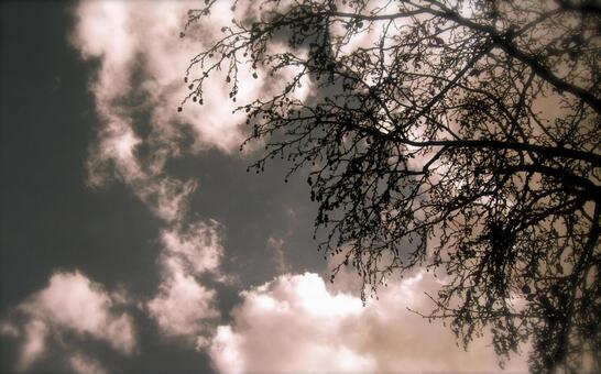 @turkey @turkeyの写真