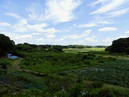守谷城址公園から望む守谷沼の風景2 守谷城址公園から望む守谷沼の風景2の写真