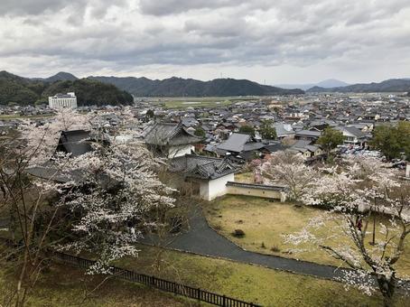 出石城からの風景 出石城からの風景の写真