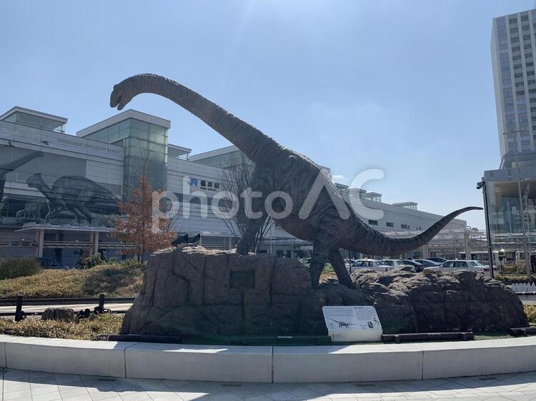 福井駅前 - No: 34165330｜写真素材なら「写真AC」無料（フリー）ダウンロードOK
