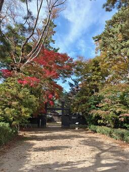 福井県-柴田氏庭園-冠木門 柴田氏庭園,冠木門,門の写真素材