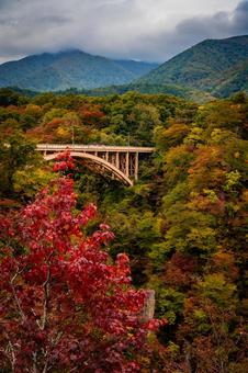 宮城県　鳴子峡の秋の風景 宮城,宮城県,大崎市の写真素材