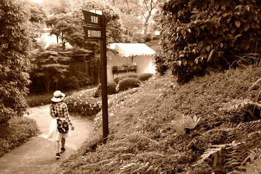 Women walking naturally 3 sepia Women walking naturally 3 sepia