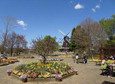 四月のアンデルセン公園-98 四月のアンデルセン公園-98 四月,ふなばしアンデルセン公園,千葉県船橋市の写真素材