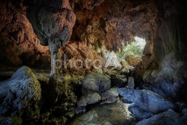 西表島の洞窟 洞窟,鍾乳洞,探検の写真素材