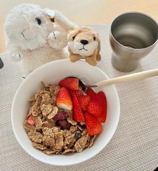 ヨーグルトボウルとぬいぐるみ ヨーグルトボウルとぬいぐるみ ヨーグルトボウル,ダイエット,朝ごはんの写真素材