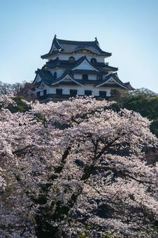 Hikone Castle in Spring, JPG Hikone Castle in Spring, JPG