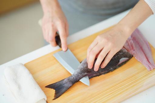 魚を三枚におろしている手 魚を三枚におろしている手 魚,捌く,切るの写真素材