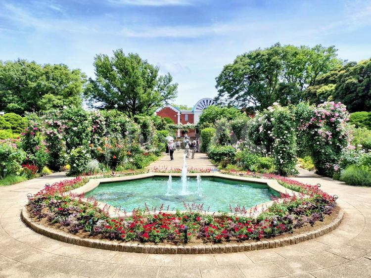 港の見える丘公園　噴水と大佛次郎記念館 港の見える丘公園,香りの庭,噴水の写真素材