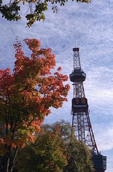 テレビ塔と紅葉 テレビ塔,紅葉,札幌の写真素材