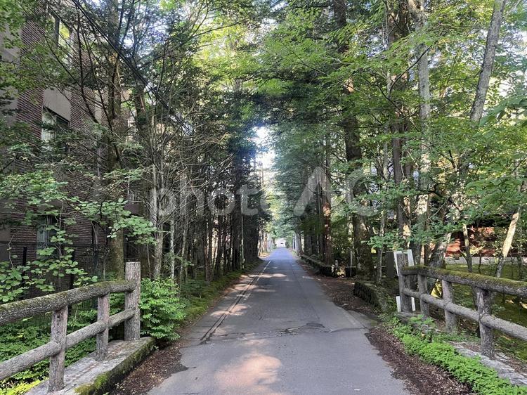 軽井沢 軽井沢,長野,高原の写真素材