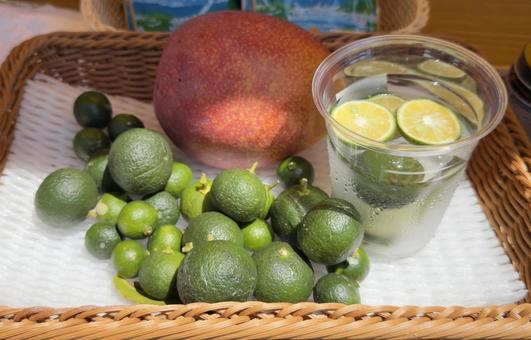 シークワーサーと輪切りの入ったドリンク シークワーサーと輪切りの入ったドリンクの写真