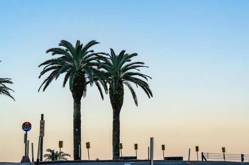 堀切峠の夕景 堀切峠,夕方,夕景の写真素材