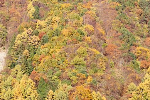紅葉の山と青空　秋の長野上田市風景 山,青空,紅葉の写真素材