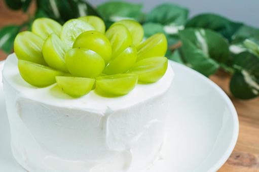 シャインマスカットのショートケーキ シャインマスカット,ケーキ,デザートの写真素材