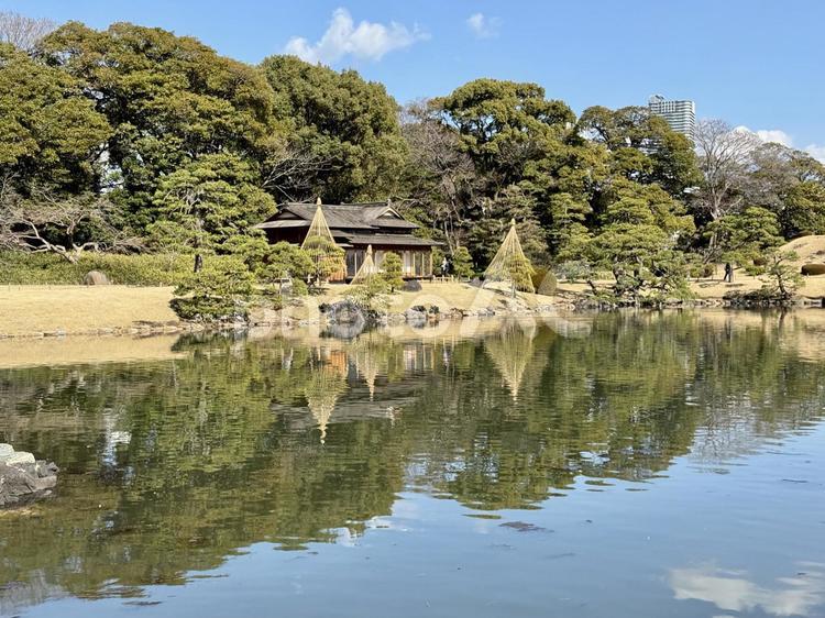 浜離宮  潮入の池 松の御茶屋,枯草,潮入の池の写真素材