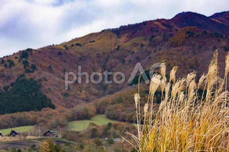 秋のイメージ ススキ,山,空の写真素材