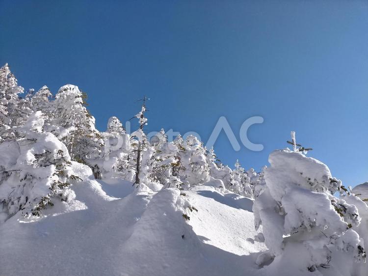 天狗岳(北八ヶ岳)山旅記録22 山,登山,冬山の写真素材