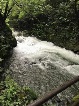 清流と新緑、美しい渓流の風景 清流と新緑、美しい渓流の風景の写真