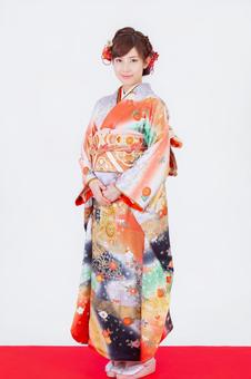 振袖を着た女性 振袖を着た女性 晴れ着,成人の日,成人の写真素材