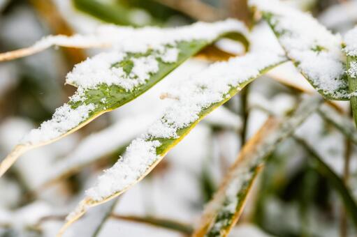 秋保の冬景色(130) 冬,雪,寒さの写真素材