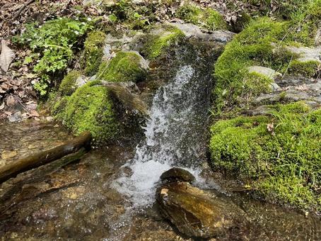滝 湧き水 滝 湧き水 川,自然,背景の写真素材
