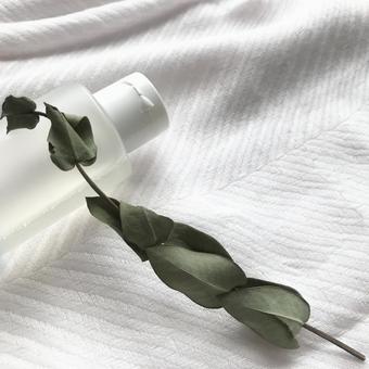 毎日のスキンケア 日課,スキンケア,化粧品の写真素材