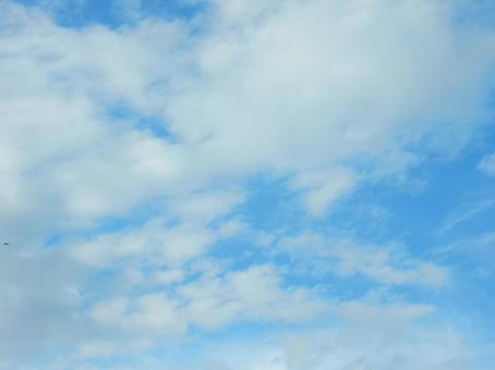 【風景写真】秋空 【風景写真】秋空の写真