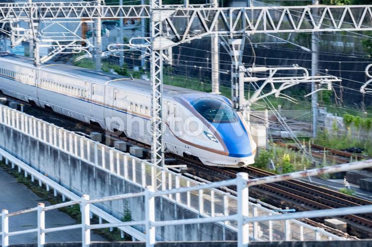 走行中のE7系新幹線 新幹線,e7系,jrの写真素材