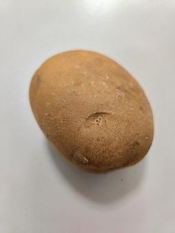 じゃがいも正面4 じゃがいも正面4の写真