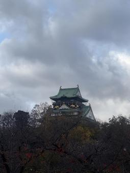 大阪城 大阪城の写真