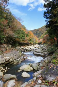 奥津渓紅葉　１ 渓谷,奥津渓,紅葉の写真素材