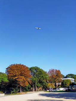 公園 福岡,公園,秋の写真素材