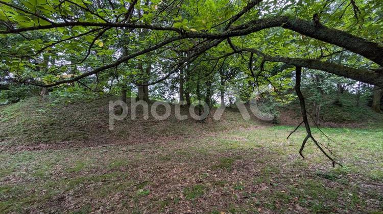 富山市の王塚古墳 前方後方墳,富山,古墳の写真素材