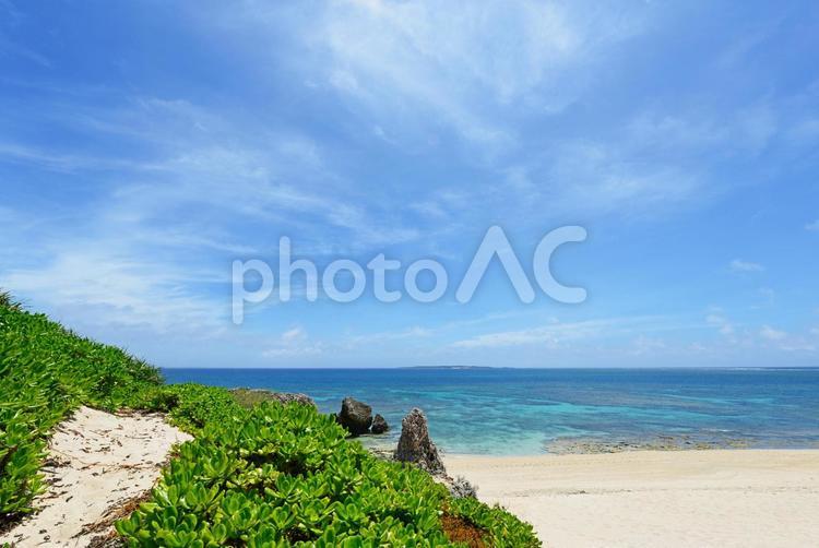 南国沖縄の美しいビーチ 沖縄,海,ビーチの写真素材