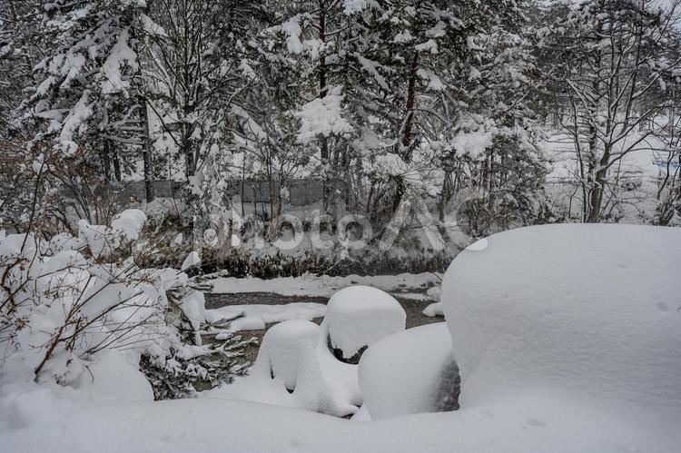大雪に見舞われた草津 西の河原公園,雪,積雪の写真素材
