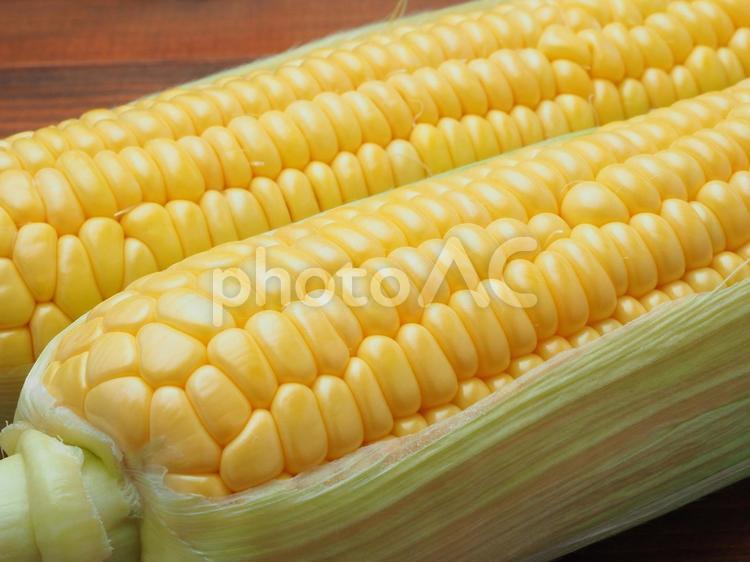 とうもろこし とうもろこし,テーブル,夏野菜の写真素材