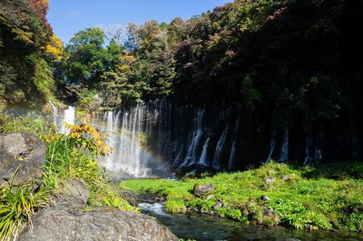 静岡 虹がかかる白糸の滝 白糸の滝,静岡,滝の写真素材