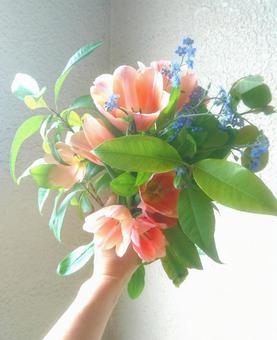 花・ブーケ 花・ブーケの写真